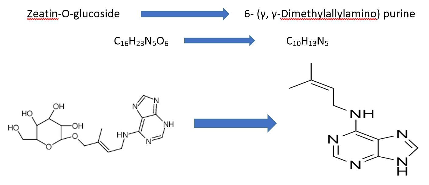 6- (γ γ-DimethylallylAminoPurine-2iP-03
