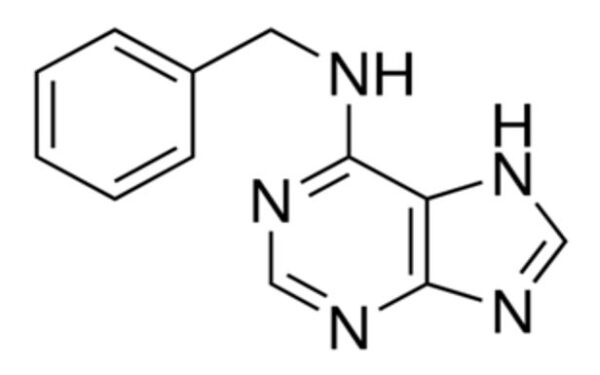 6-Benzylaminopurine - BAP Hormone Powder - Caisson Labs